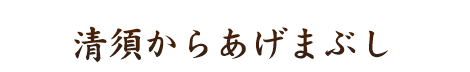 清須からあげまぶし